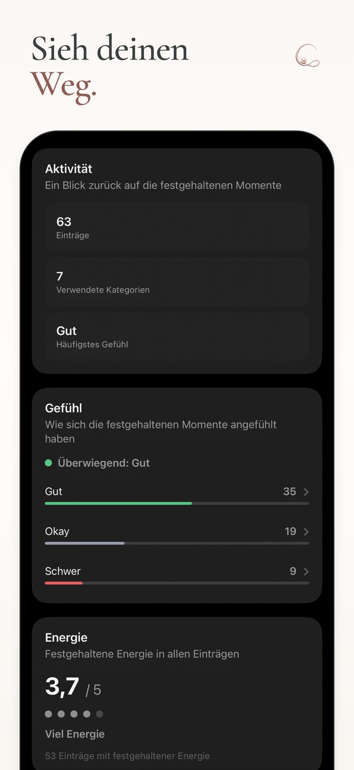 Der Rückblick in Cillia mit einer Übersicht über Einträge, festgehaltene Gefühle und Energie.